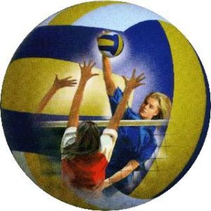 pallavolo____gif