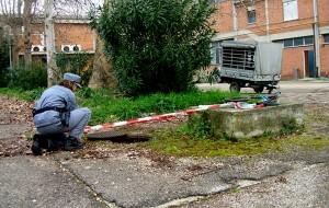 sequestro mattatoio