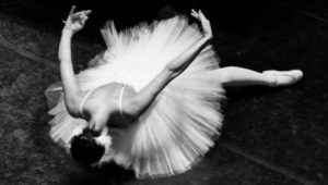 LauraCastelli-cigno