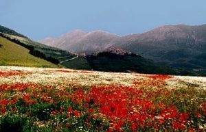 castelluccio