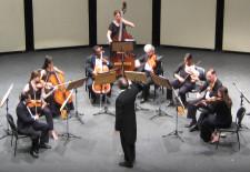 CHAMBER ORCHESTRA