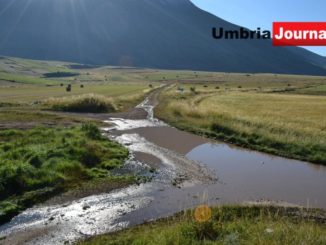 arpa umbria
