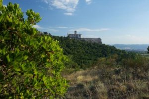 Bosco Assisi_Foto © Andrea Angelucci