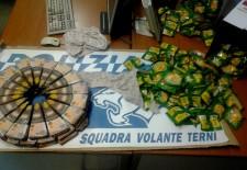 POLIZIA REFURTIVA