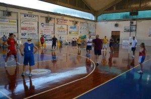 Orvieto basket