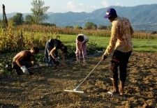AGRICOLTURA SOCIALE