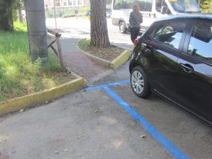 Strisce blu
