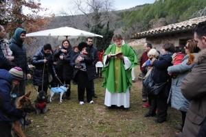 Benedizione degli animali