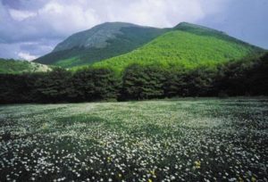 Monte Cucco