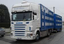 camion15
