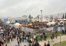 Agriumbria