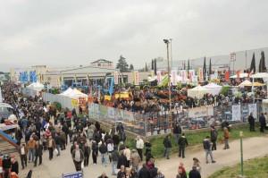 Agriumbria