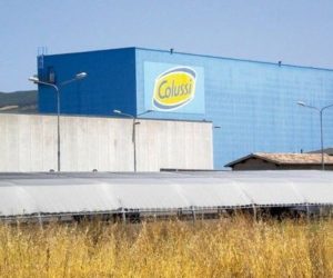2663_20140327152018_colussi_assisi_internet_economia_lavoro_imprese