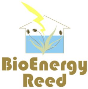 BioEnergy Reed