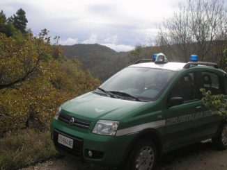 Soppressione Corpo Forestale 5Stelle Corte Costituzionale dovrà valutare