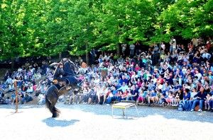 Città della Domenica - impennata Falconiere a Cavallo