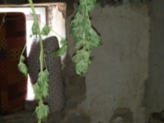 Fontivegge, smantellata base dello spaccio in un garage