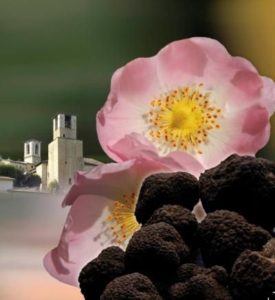 Dall'8 al 10 agosto, Aestivum a Cascia