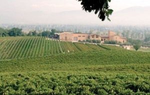 Le domeniche della Strada del Sagrantino alla cantina Caprai