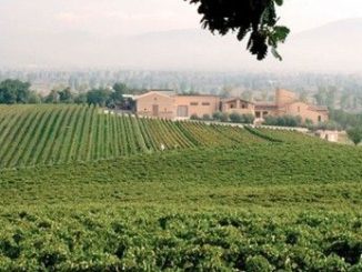 Grande festa per i 50 anni della cantina Arnaldo Caprai. Tra gli ospiti all'evento: Bonomi, Caprai, Tesei e Sgarbi