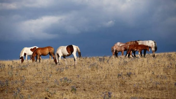 Firma Convenzione per la gestione del Parco del Monte Subasio