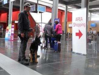 Tenta di entrare Umbria, ma gli agenti lo bloccano all'aeroporto