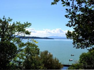 Privatizzazione Lago Trasimeno? M5s: "Ci penserà un Coop, vero PD?"