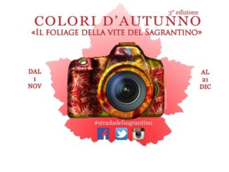 colori d'autunno, pier paolo metelli