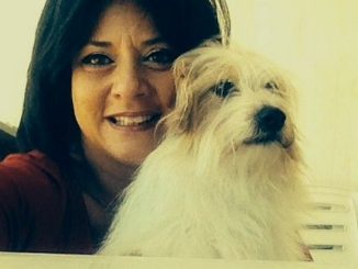 Canile comunale, Mori: "L’amministrazione realizzi il progetto di riqualificazione"