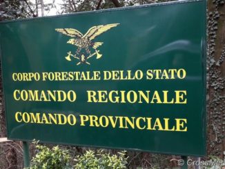 Tar Abruzzo, Corpo Forestale nei Carabinieri? E' incostituzionale
