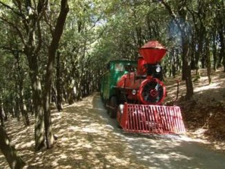 città della domenica, lavoro, annunci lavoro,