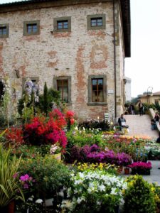 Fiera del fiore