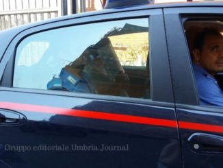 todi