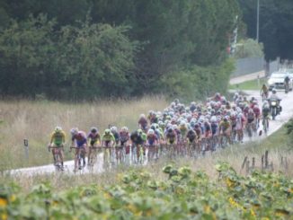 Umbria Marathon 2016