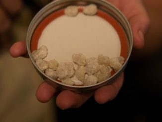 mdma