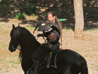Frediano Bazzocchi a Città della domenica