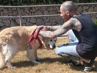 Andrea Ceccotti, muore per droga