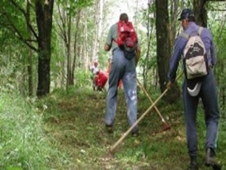 Corpo Forestale nei Carabinieri? E' incostituzionale, dice Tar Abruzzo