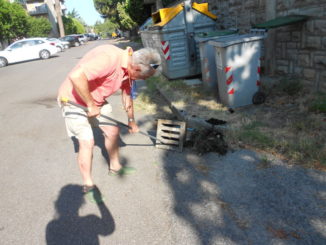 Pro Ponte, Sensibile all'appello «Cura» e bellezza del territorio