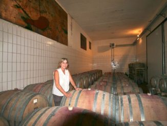 Ursula Gritti nella cantina I Girasoli di Sant'Andrea