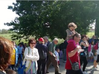 Tornano le passeggiate “Bimbi e cani felici e sani”