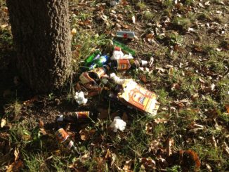 Vendita quote Gesenu, M5s: "Giunta Romizi è stata a guardare"