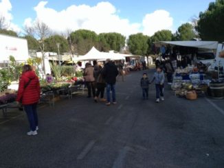 Fiera San Mariano
