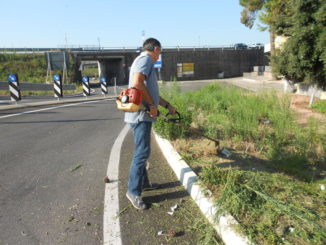 Protagonismo civico, Pro Ponte in prima linea