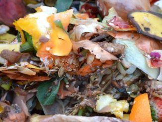 Compostaggio Villa Pitignano. Gruppo Misto: “Verificare impatto ambientale...”
