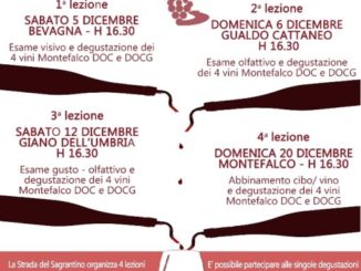 sagrantino step by step