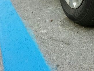 Presentazione dei nuovi servizi di pagamento digitale della sosta