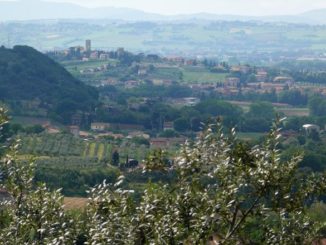 torgiano
