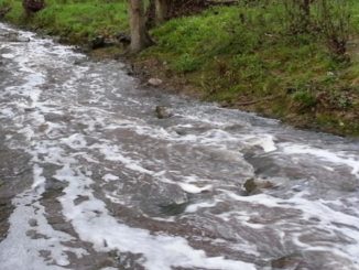 Inquinavano il torrente Genna, sequestrate stalle di un allevamento a Marsciano