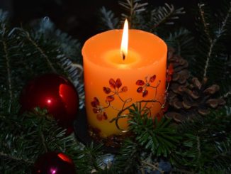 Con le cassette solidali Ant per sostenere anche a Natale la prevenzione oncologica
